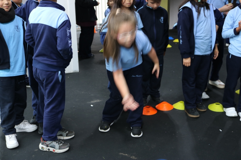 Día de la Actividad Física